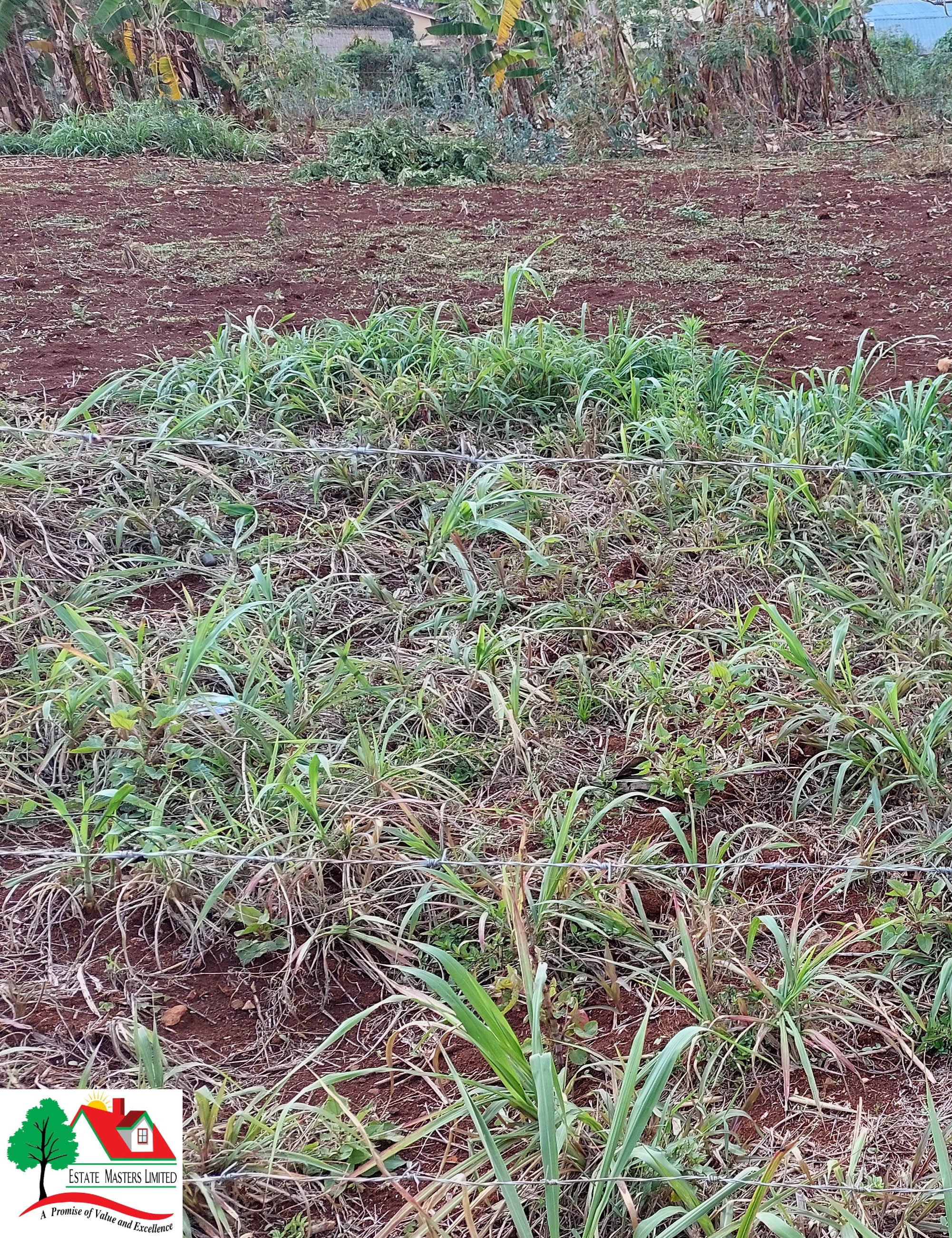 LAND FOR SALE-RUAKA(Simoga)